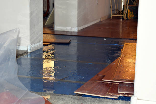 Professional Basement Flood Cleanup technician working in Hunters, WA